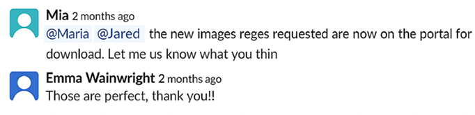 Client review message screenshot